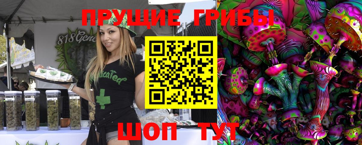 Псилоцибиновые грибы Psilocybe  Псилоцибиновые грибы мухоморы  Вход с VPN  Сунжа 